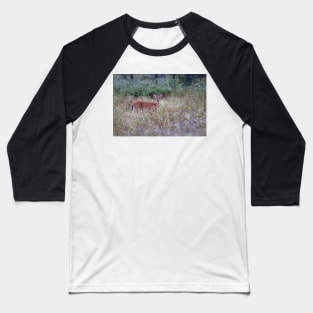 White Tailed Deer Fawn in Queen Anne's Lace Baseball T-Shirt